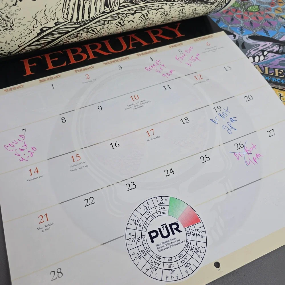 13 Grateful Dead Wall Calendars Mike DuBois Art 2009-2025 Psychedelic Rock Music